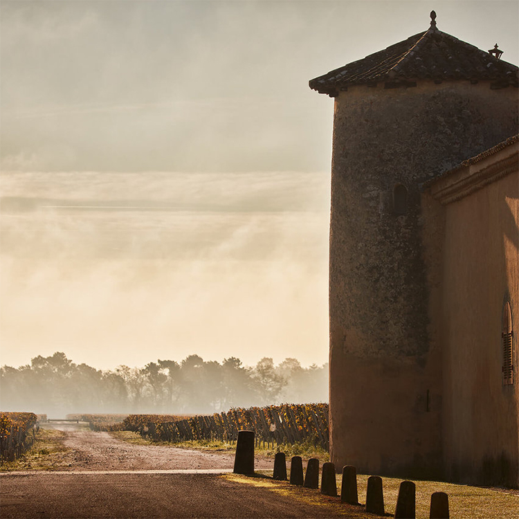 Chateau Suduiraut