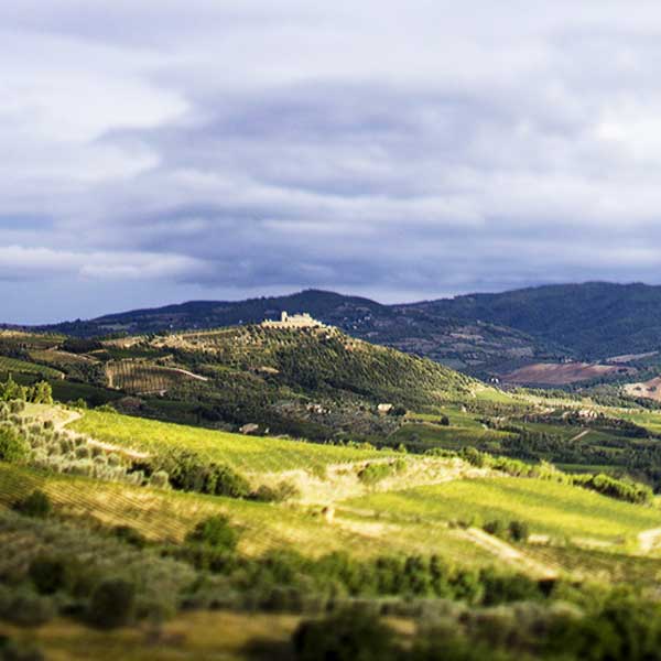 Ciacci Piccolomini D'Aragona, winemaker listed on Moke Fine Wines