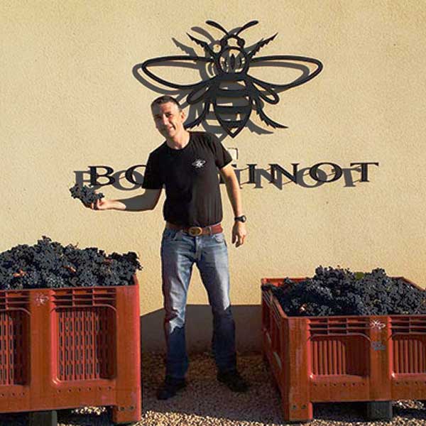 Domaine Boutinot, WInemaker, listed on Moke Fine Wines