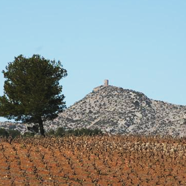 Domaine Gardiés, winemaker