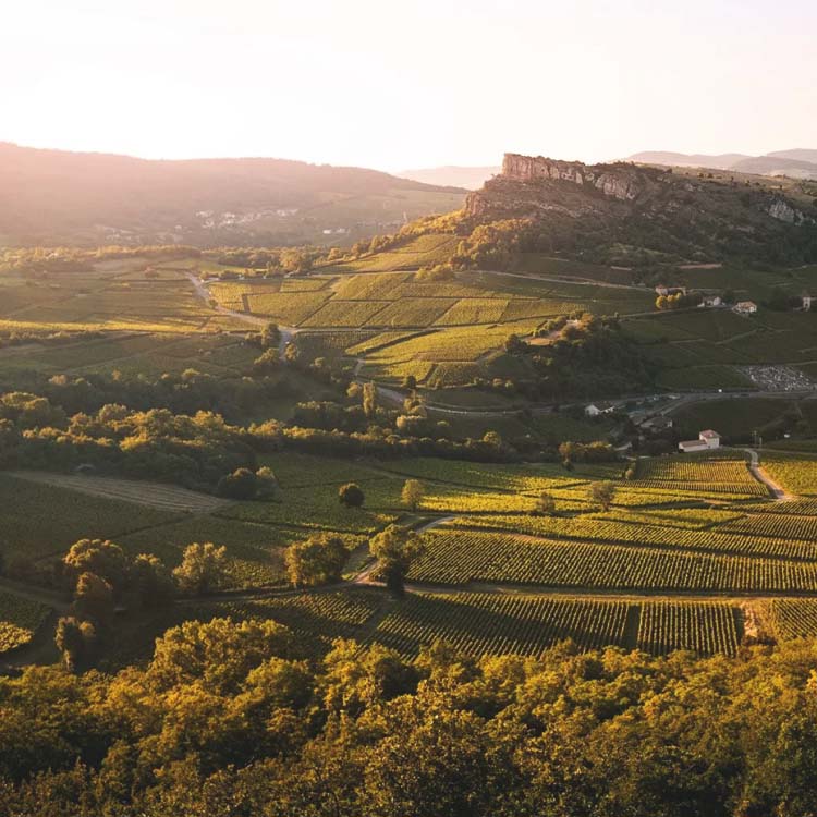 Domaine de Fussiacus, Winemaker