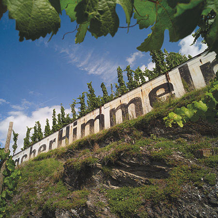 The Friedrich Wilhelm Gymnasium, wine maker