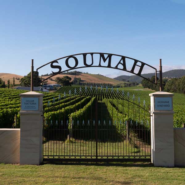 Soumah of the Yarra Valley