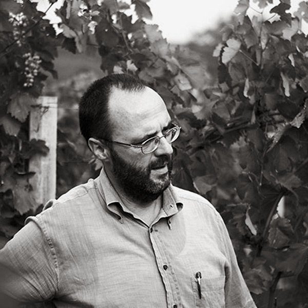 Adria Vini, Winemaker