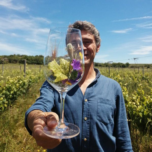 Alianca Vinhos de Portugal, winemaker