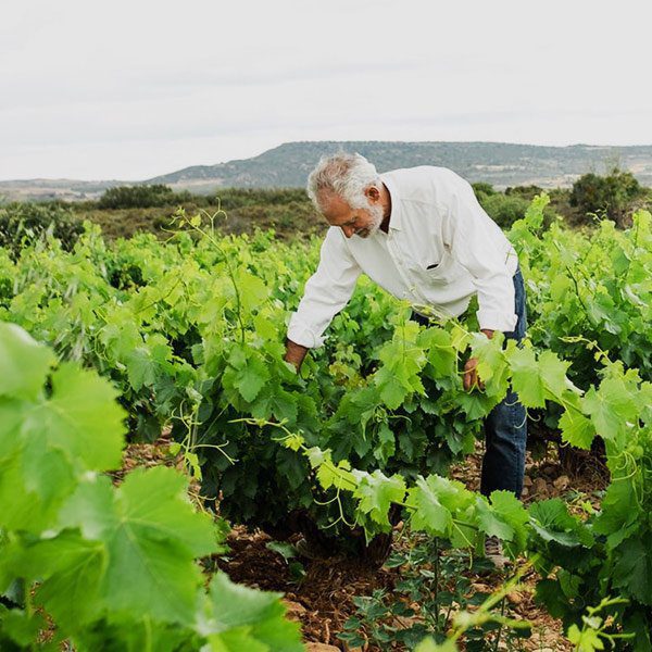Bodegas Borsao, winemaker