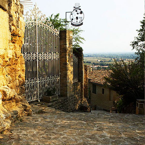Domaine Chante Cigale, winemaker