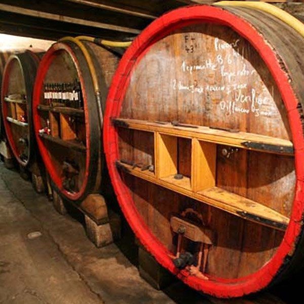 Domaine Lafran Veyrolles, Winemaker