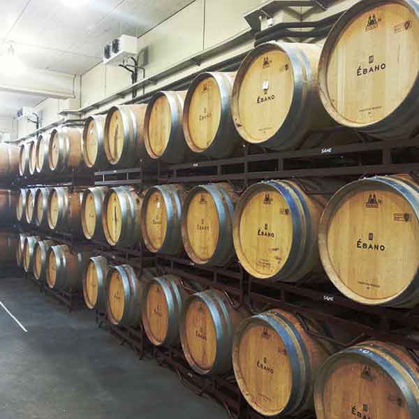 Valmiñor, winemaker